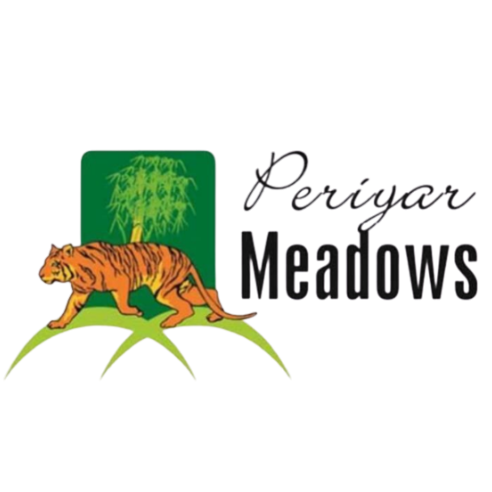 carousel logo 13